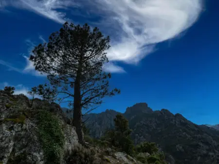 Migone de Sampolo, Maison 6 personnes à Ghisonaccia - Photo 32
