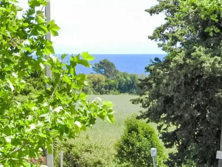 Lup - Les terrasses d'Alistro, Appartement 6 personnes à San Nicolao - Photo 16