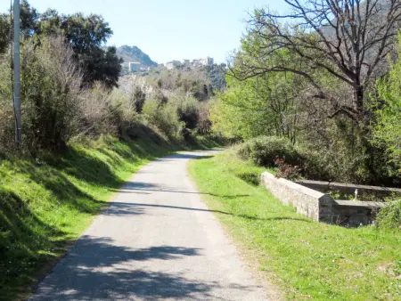 Villa Volpajola, Appartement 6 personnes à Cervione Castagniccia - Photo 24