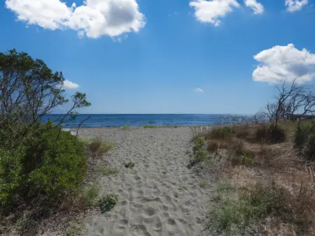 Villa Volpajola, Appartement 6 personnes à Cervione Castagniccia - Photo 26