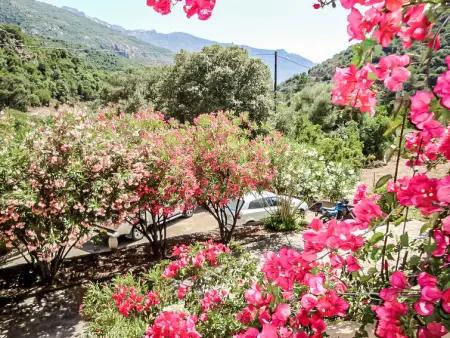 Residence Cabanaccia 3 Pieces 6 Pers, Appartement 6 personnes à Porto - Photo 3