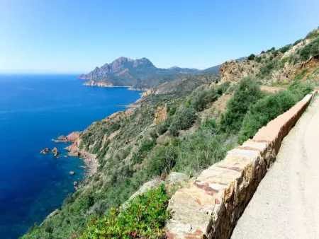 Residence Cabanaccia 3 Pieces 6 Pers, Appartement 6 personnes à Porto - Photo 26