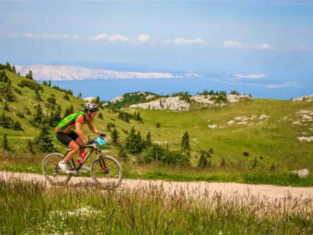 Sanja, Appartement 4 personnes à Karlobag - Photo 35