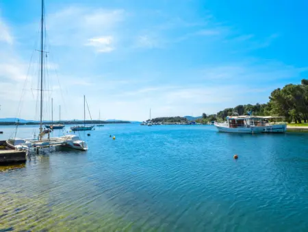 Lastavica, Appartement 2 personnes à Vodice Jadrija - Photo 9