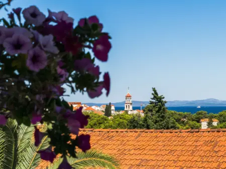 Villa 2 Pools, Appartement 4 personnes à Brač Sutivan - Photo 6
