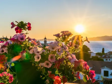 Villa 2 Pools, Appartement 6 personnes à Brač Sutivan - Photo 27