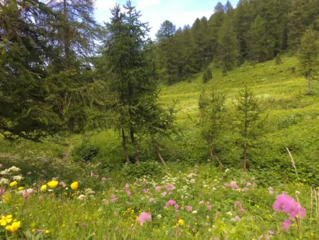 Casa del Ponte, Appartement 4 personnes à Sampeyre - Photo 25