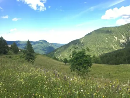 Casa del Ponte, Appartement 4 personnes à Sampeyre - Photo 26