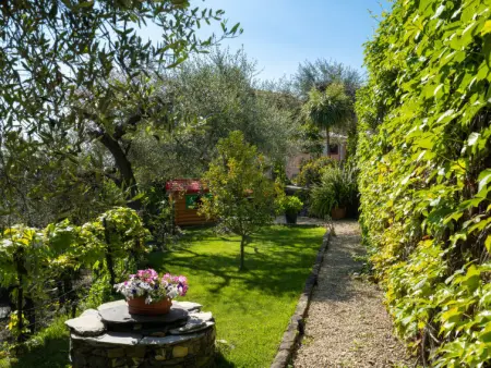 Villa Paradiso (DOL190), Appartement 6 personnes à Dolcedo - Photo 9