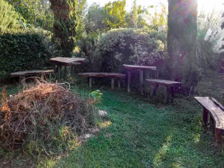 Olivo, Appartement 3 personnes à Vendone - Photo 3