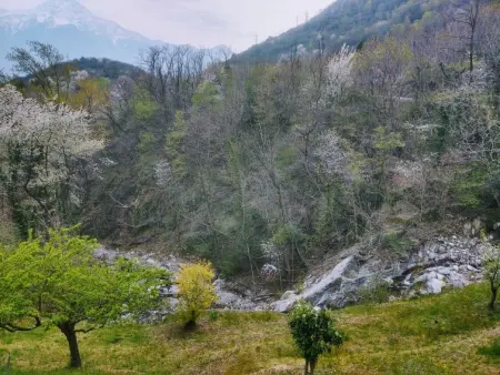Raviscioni Albino, Appartement 4 personnes à Sorico Albonico - Photo 23