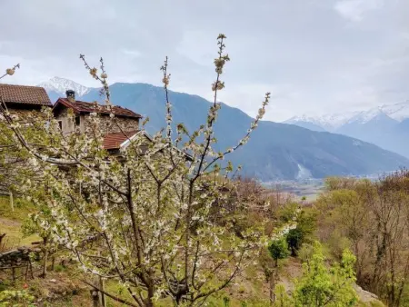 Raviscioni Albino, Appartement 4 personnes à Sorico Albonico - Photo 25