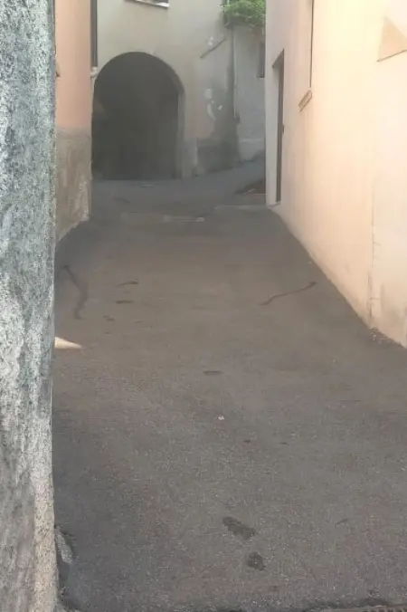 Borgo Alba Chiara, Appartement 6 personnes à Toscolano - Photo 40