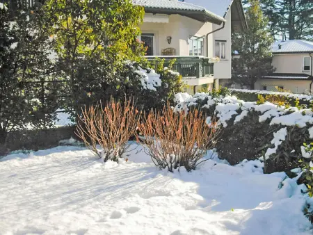 Villa Esperia, Appartement 6 personnes à Merano - Photo 28