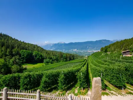 Red, Appartement 4 personnes à Valle di Non - Photo 24