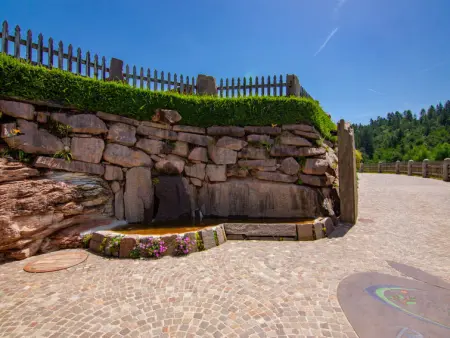 Red, Appartement 4 personnes à Valle di Non - Photo 38