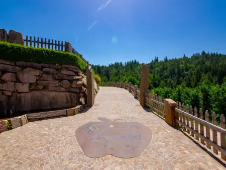Red, Appartement 4 personnes à Valle di Non - Photo 50