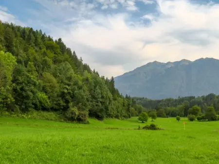 Cjase Fravins, Appartement 3 personnes à Raveo - Photo 14