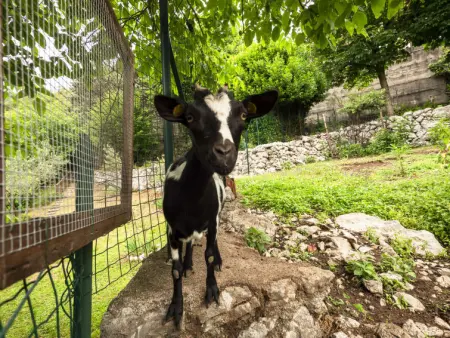 Villa Margherita, Appartement 4 personnes à Anduins - Photo 21