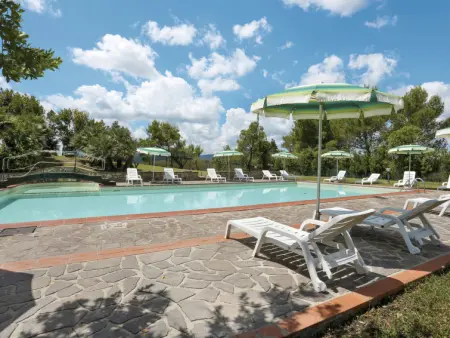 Vecchio Cigliere (TER106), Appartement 4 personnes à Terricciola - Photo 11