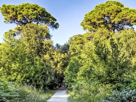 Lungomare, Appartement 5 personnes à Viareggio - Photo 14