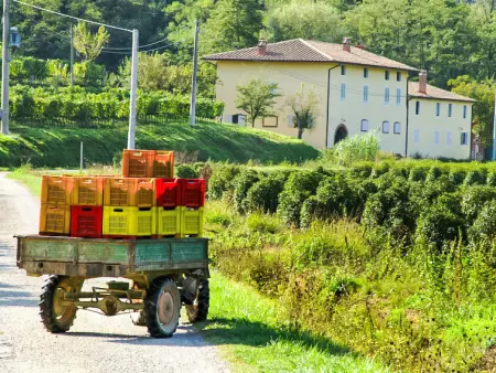 Aurora, Gite 10 personnes à Montecatini Terme - Photo 29