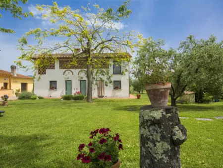 Oliveto, Gite 6 personnes à Vinci - Photo 6