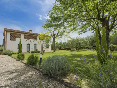 Oliveto, Gite 6 personnes à Vinci - Photo 29