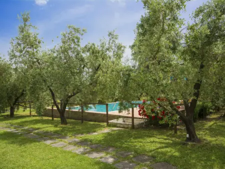 Oliveto, Gite 6 personnes à Vinci - Photo 31