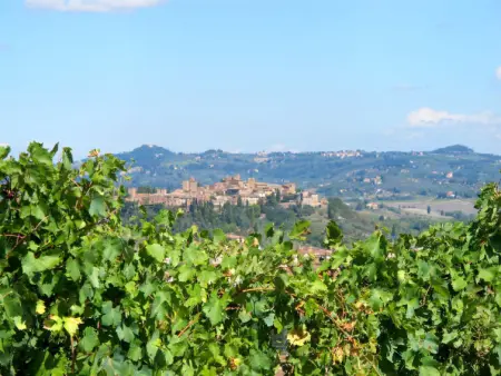 Podere La Torre, Gite 4 personnes à Certaldo - Photo 32
