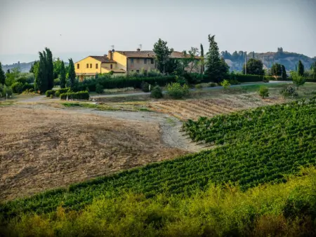 Podere La Torre, Gite 4 personnes à Certaldo - Photo 20