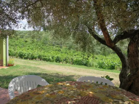 Conte Francesco I, Appartement 4 personnes à Certaldo - Photo 30