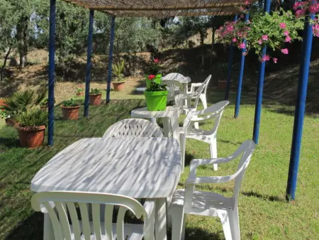 Conte Francesco II, Appartement 4 personnes à Certaldo - Photo 30