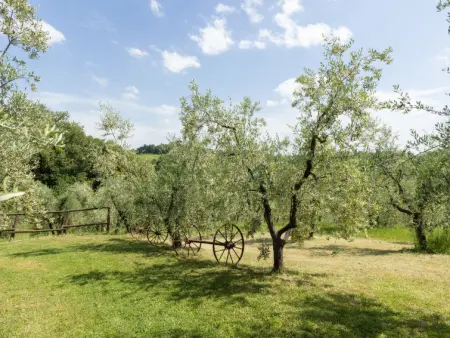Ciliegio, Gite 5 personnes à Castellina in Chianti - Photo 38
