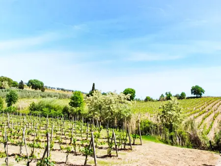 Ciliegio, Gite 5 personnes à Castellina in Chianti - Photo 40