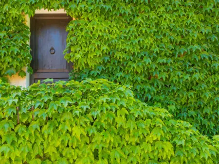 Bardeggiano - Caterina 1, Appartement 4 personnes à Colle Val d'Elsa - Photo 40