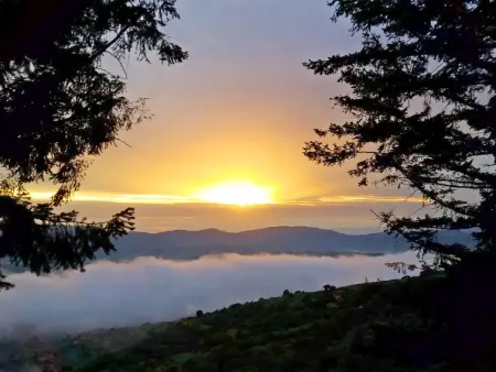 Belvedere, Gite 2 personnes à Castelfranco di Sopra - Photo 21
