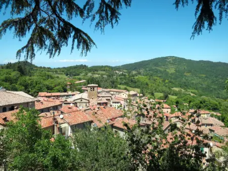 Irene, Appartement 4 personnes à Montieri - Photo 32