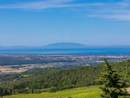 Poggio di Nocola, Appartement 4 personnes à Riparbella - Photo 30