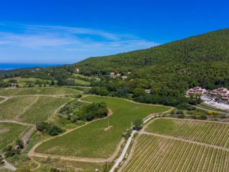 Poggio di Nocola, Appartement 4 personnes à Riparbella - Photo 19