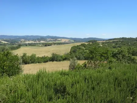 Le Colmate, Appartement 4 personnes à Guardistallo - Photo 20