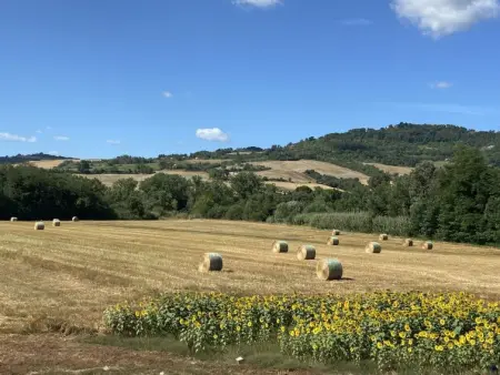 Olea, Appartement 4 personnes à Guardistallo - Photo 34