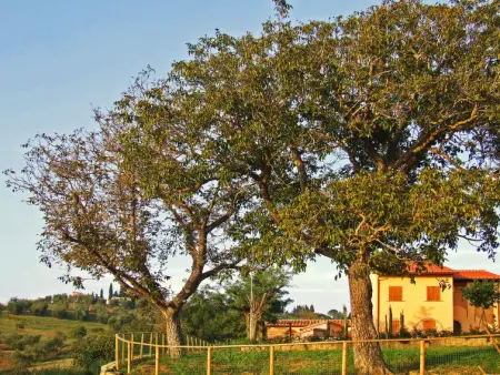 Le Palaie - 'Padronale' (PEC209), Appartement 4 personnes à Peccioli - Photo 1