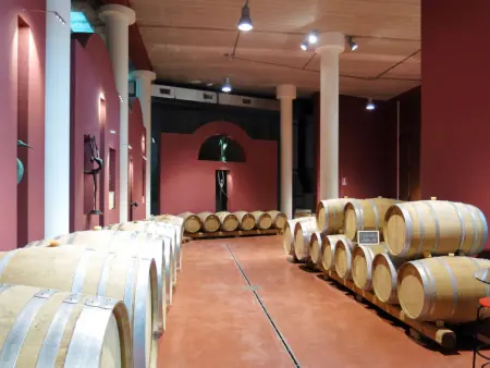 Le Palaie - 'Oliveto', Appartement 4 personnes à Peccioli - Photo 8