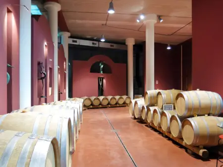 Le Palaie - 'Piscina' (PEC205), Appartement 6 personnes à Peccioli - Photo 12