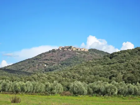 Loggetta, Gite 5 personnes à Roccastrada - Photo 29