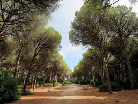 Four-room apartment, Appartement 8 personnes à Monte Argentario - Photo 36