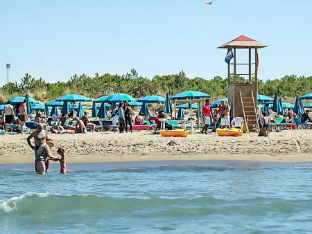 Le Capanne I, Appartement 4 personnes à Grosseto - Photo 24