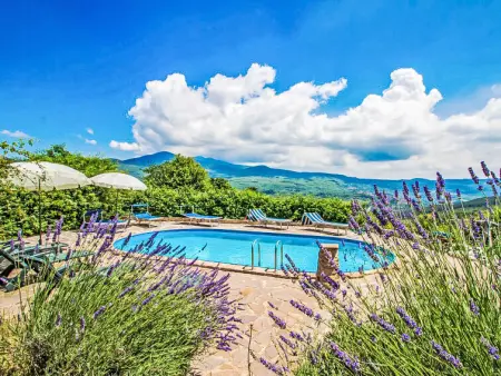 Papavero, Gite 4 personnes à Arcidosso - Photo 1