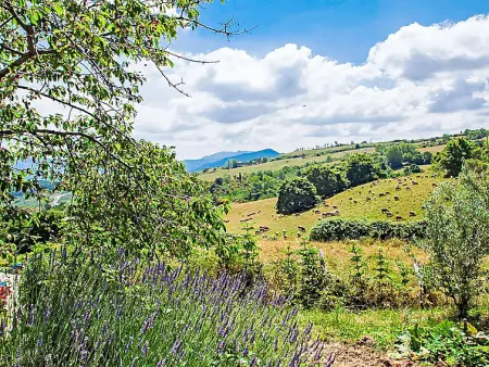 Quadrifoglio, Gite 3 personnes à Arcidosso - Photo 21